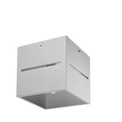 Aplique de techo LOBO gris, G9