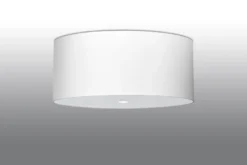 Aplique de techo OTTO 60, blanco, E27