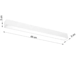 Aplique de techo PINNE LED 65 blanco, 22W