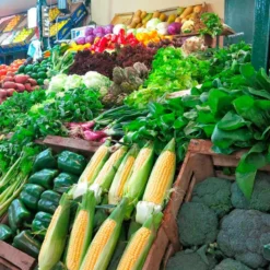 Barra LED Profresh, 9W, 56cm, Frutas y Verduras