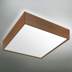 BOXLED IPE panel 60x60cm