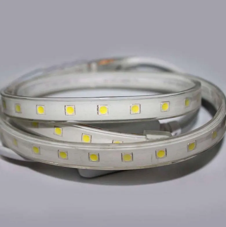Carrete tira LED TPU SMD5050, DC24V, 50m (60Led/m) - IP67