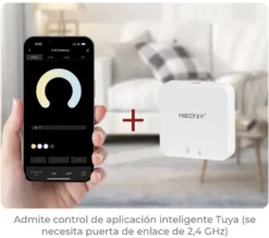 Controlador MINI 2.4G mono DC12-24V 6A