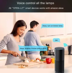 Controlador Open Lit RGB, WiFi APP, Alexa Voice Control