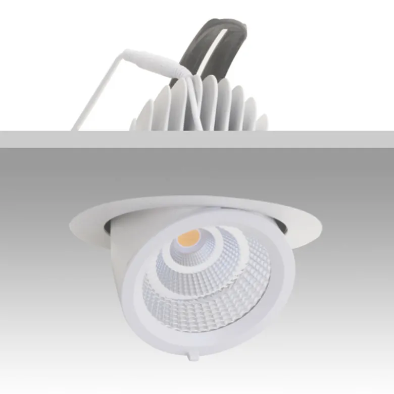 Downlight Led PRICKLUX TUBE 38W
