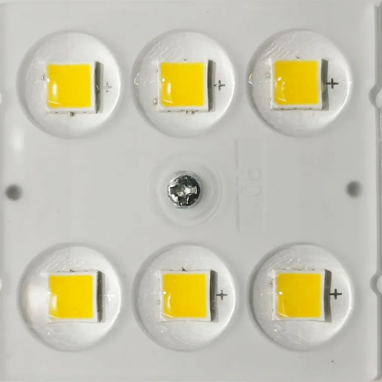 Farola LED 10-100W TURIN Driver Programable Xitanium