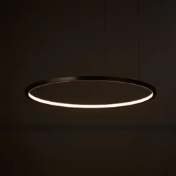 Luminaria superficie o suspendida CYCLE IN, 120W, antracita, Ø100cm