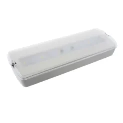 Luz de emergencia LED NICELUX con AUTO-TEST, Permanente / No permanente