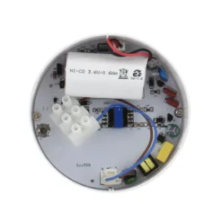 Luz de emergencia Led ZOR AUTO-TEST, Superficie / Empotrado