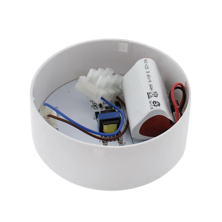 Luz de emergencia Led ZOR AUTO-TEST, Superficie / Empotrado