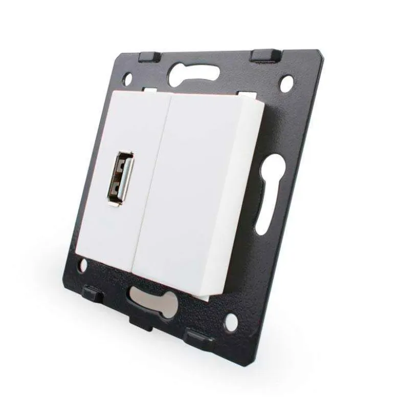 Mecanismo de empotrar enchufe USB, blanco LIVOLO