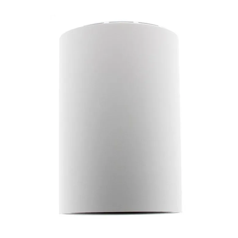 PROLUX Housing Round Ø110, blanco