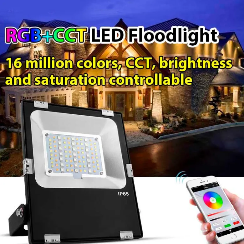 Proyector RGB+CCT Nichia Led, 30W, RF