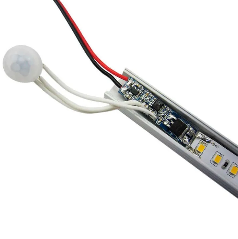 Sensor PIR de movimiento RAIL