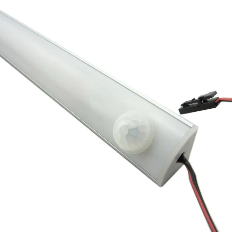 Sensor PIR de movimiento RAIL ajustable