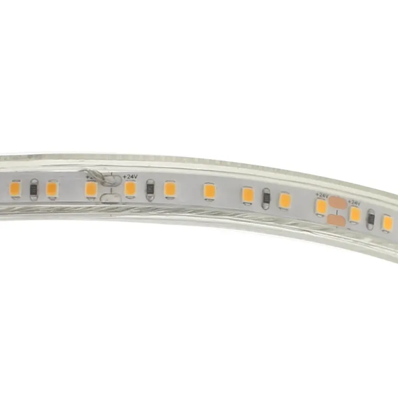 Tira LED Monocolor SMD2835, DC24V, 1 metro (120Led/m), 10W, IP66