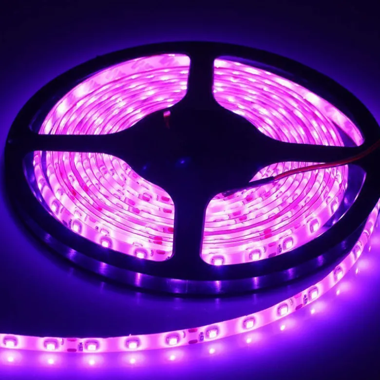 Tira LED SMD3528, DC12V, 5m (60 Led/m), ROSA - IP20