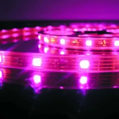 Tira LED SMD5050, DC12V, 5m (60 Led/m), ROSA - IP65