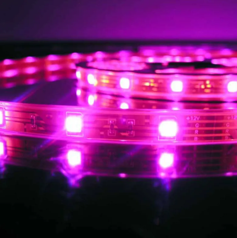 Tira LED SMD5050, DC12V, 5m (60 Led/m), ROSA - IP65