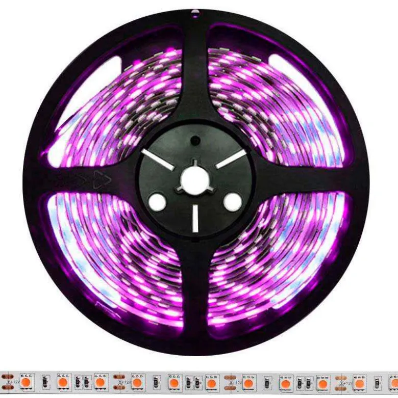 Tira LED SMD5050, DC12V, 5m (60 Led/m), ROSA - IP65