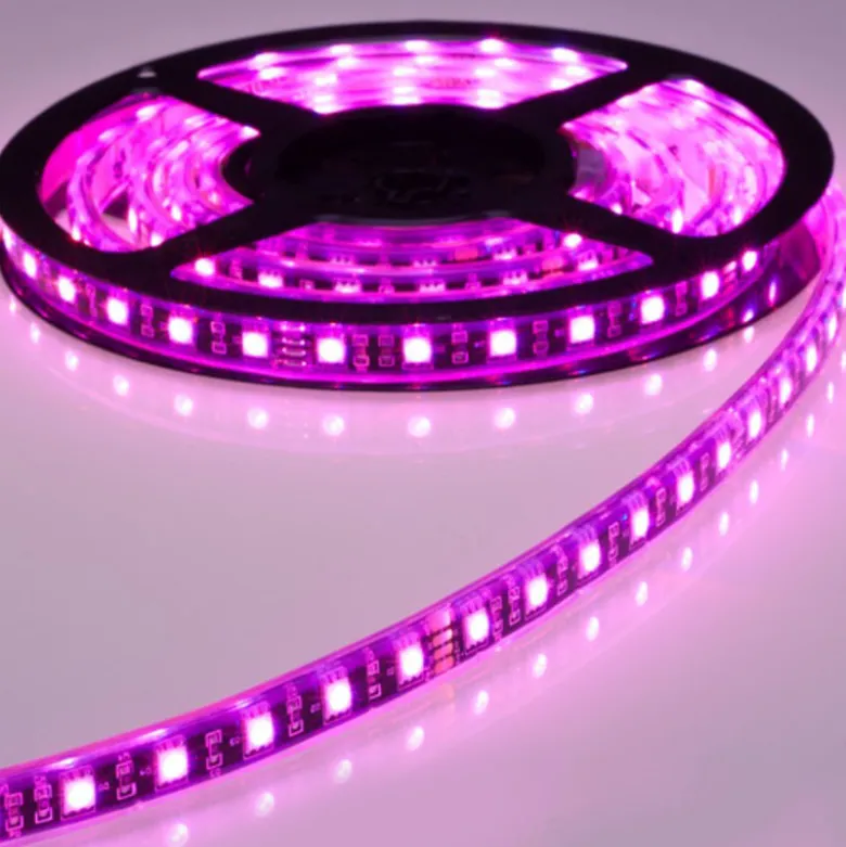 Tira LED SMD5050, DC12V, 5m (60 Led/m), ROSA - IP65