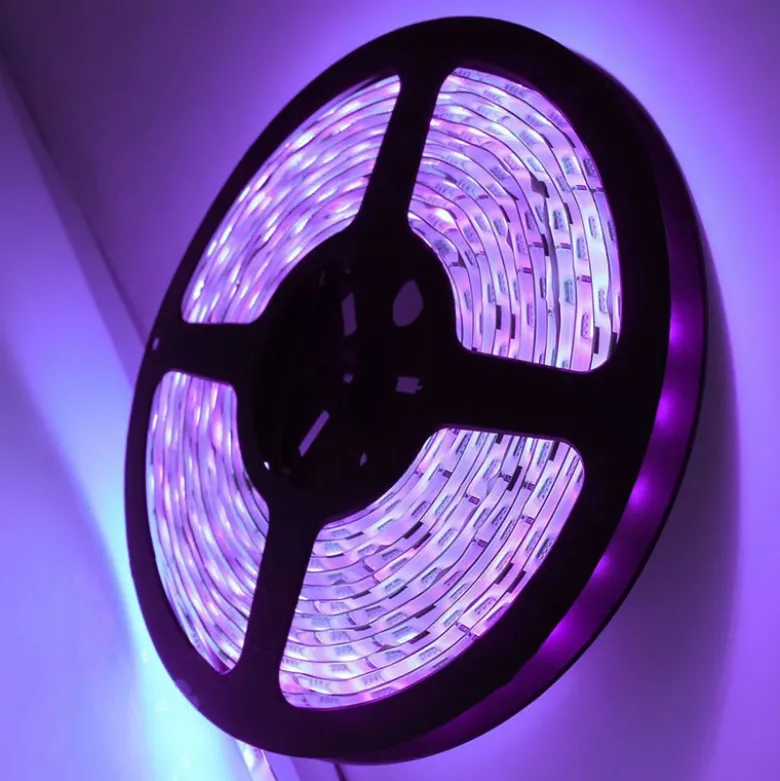 Tira LED UV Ultravioleta SMD3528, DC24V, 5m (240 Led/m) - IP67