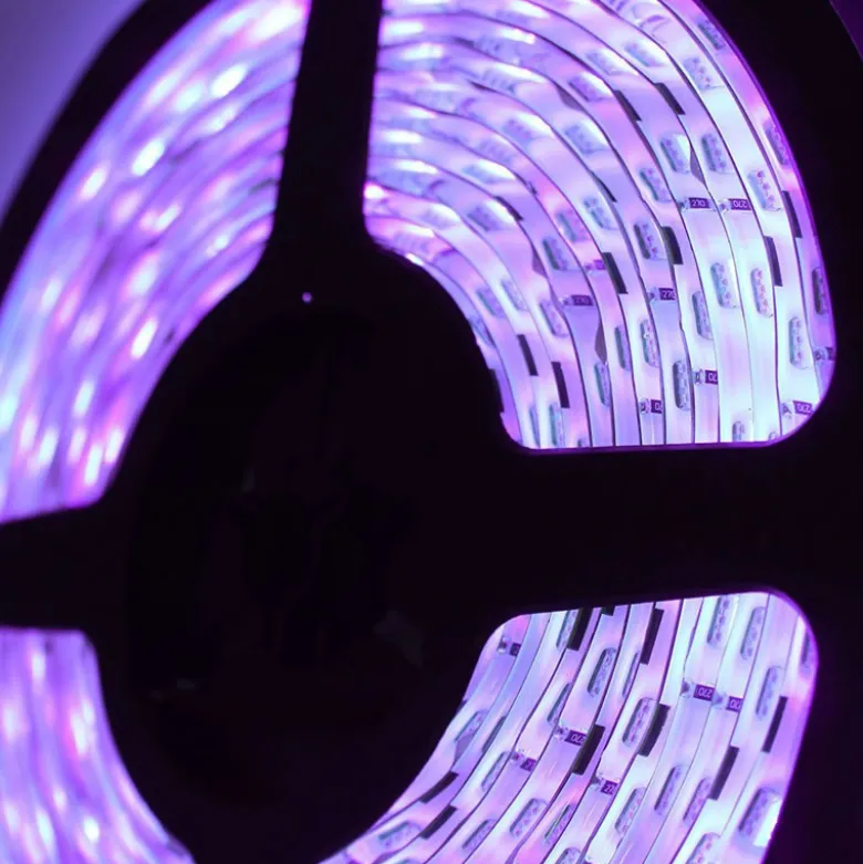 Tira LED UV Ultravioleta SMD3528, DC24V, 5m (240 Led/m) - IP67