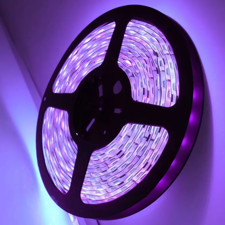 Tira LED UV Ultravioleta SMD5050, DC24V, 5m (120 Led/m) - IP67