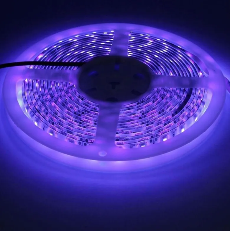 Tira LED UV Ultravioleta SMD5050, DC24V, 5m (120 Led/m) - IP67
