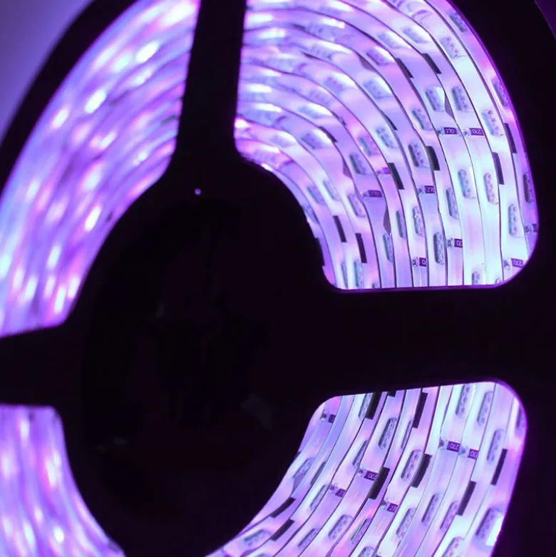 Tira LED UV Ultravioleta SMD5050, DC24V, 5m (120 Led/m) - IP67