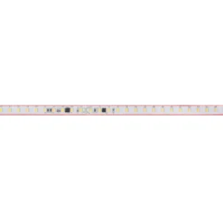 Tira LED 220V Slim SMD2835, 100Led/m, 10W/m, corte 25cm, CCT, 1 metro