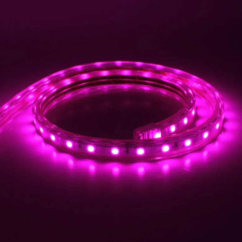 Tira LED 220V SMD5050, 60Led/m, 14,4W, 1 metro, PINK