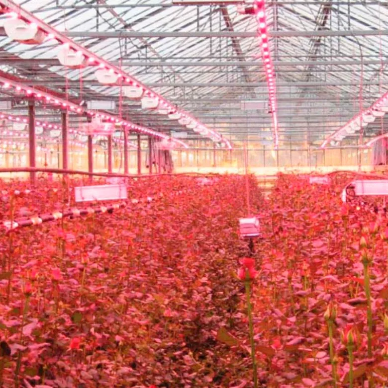 Tubo LED T8 18W, 120cm, PLANT GROW Full Spectrum, Crecimiento de plantas, IP65