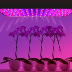 Tubo LED T8 18W, 120cm, PLANT GROW Full Spectrum, Crecimiento de plantas, IP65